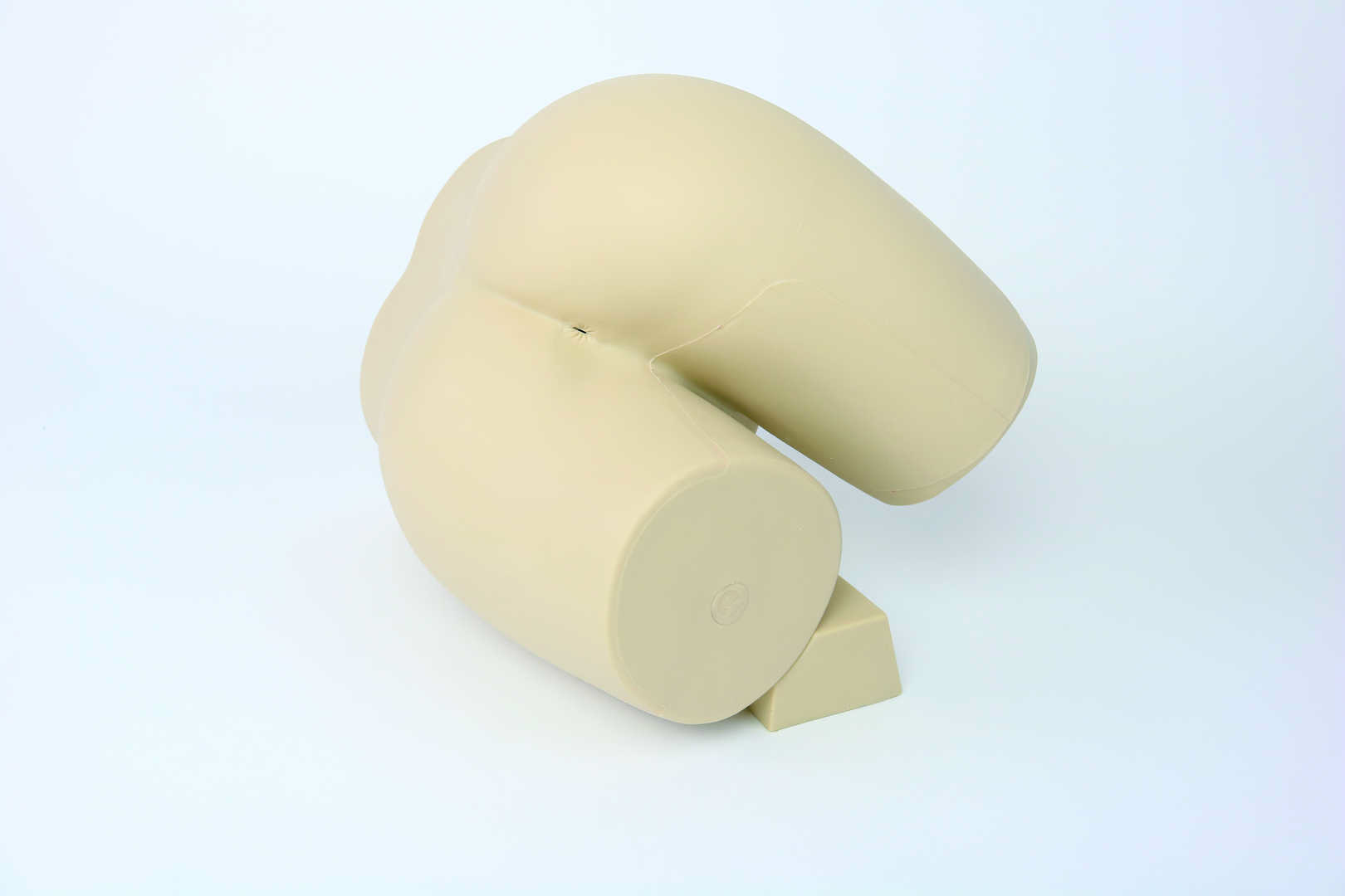 Enema Administration Model