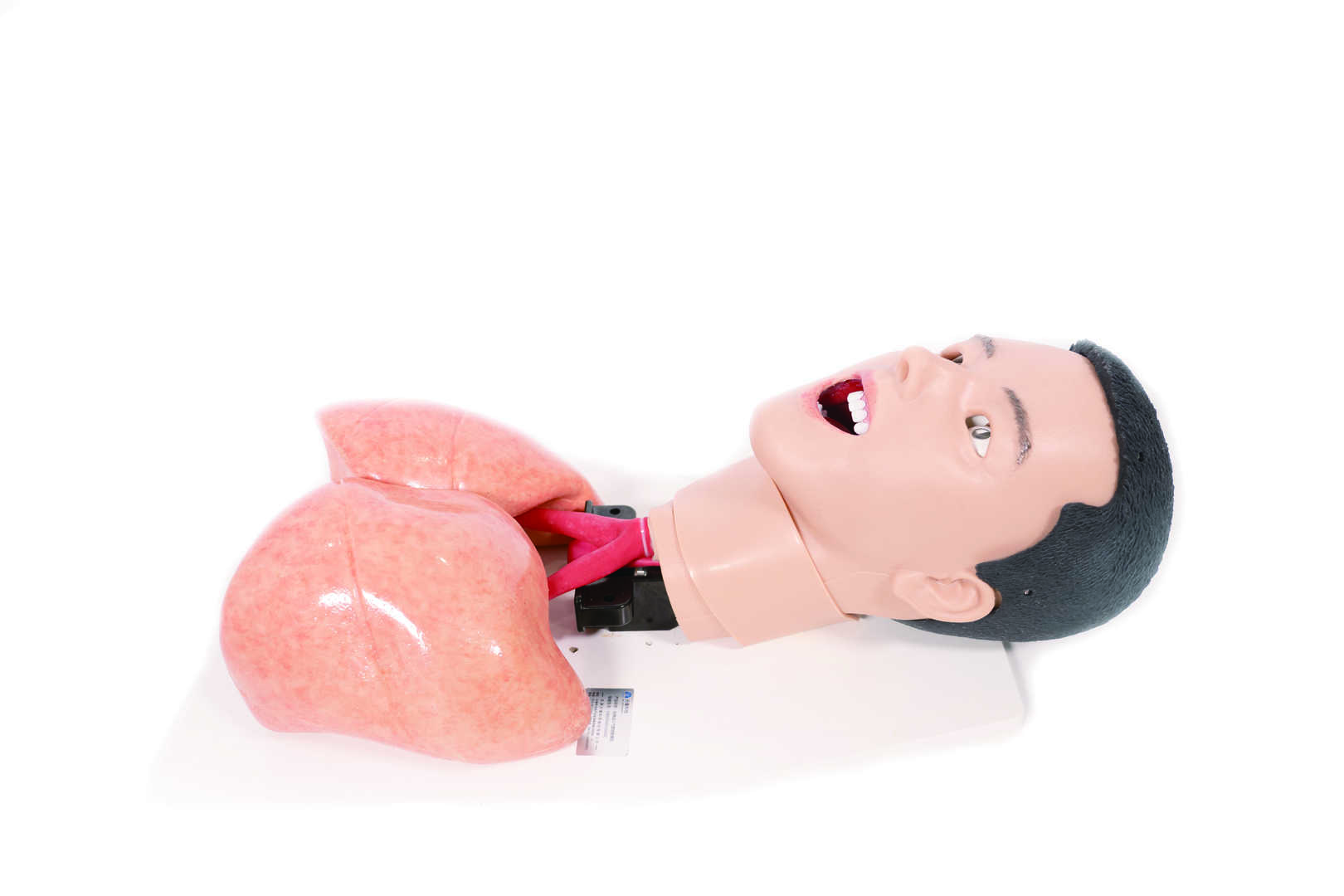 COVID-19 Task Trainer